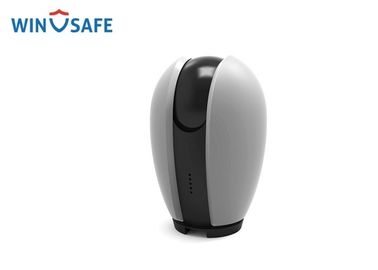 Egg Shape P2P Wireless IP Camera High Definition With One Key Sleeping Mode